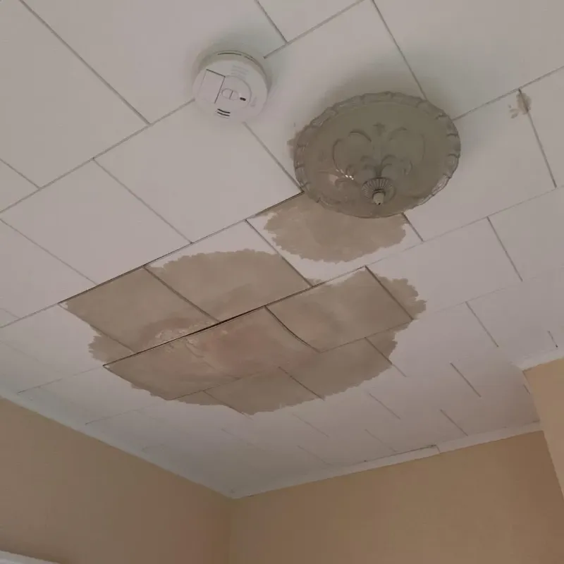 Ceiling Water Damage Repair in Comer, GA